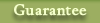 Guarantee of payment